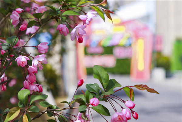 春暖花開，等你歸來——邀你云賞南新春景，以慰思念